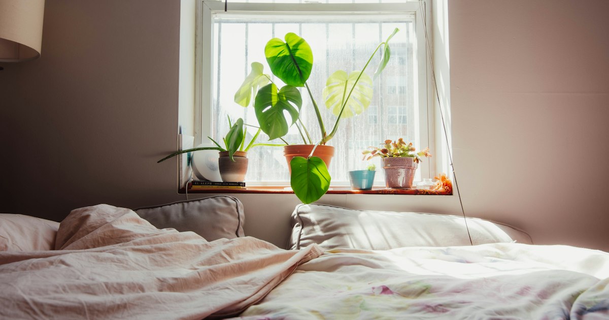 6 Best Air Purifiers for Allergies, Pets and Wildfire Smoke (Top Picks for Every Room)