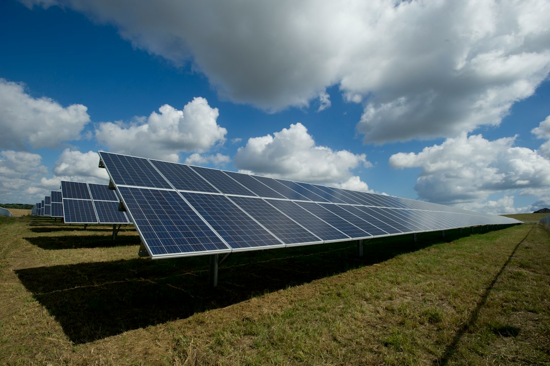 Rows of ground-mounted solar panels at a utility solar project